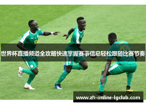 世界杯直播频道全攻略快速掌握赛事信息轻松跟随比赛节奏