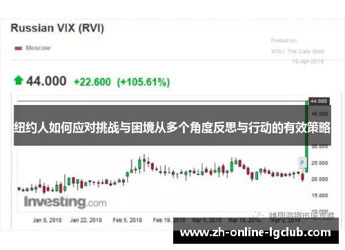 纽约人如何应对挑战与困境从多个角度反思与行动的有效策略