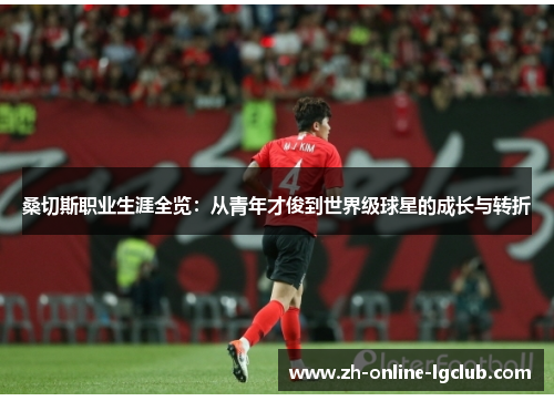 桑切斯职业生涯全览：从青年才俊到世界级球星的成长与转折